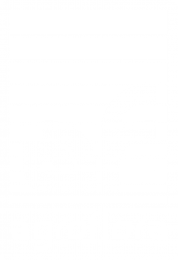 Image module