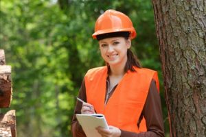 Servicio de ingeniero forestal en la region del BioBio Concepcion