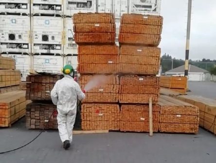 Servicio de tratamiento fitosanitario en la región del Bio-Bio